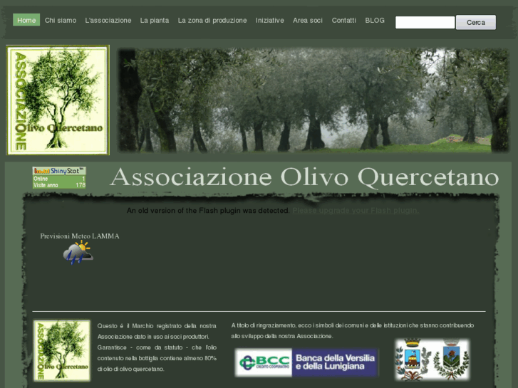 www.olivoquercetano.com