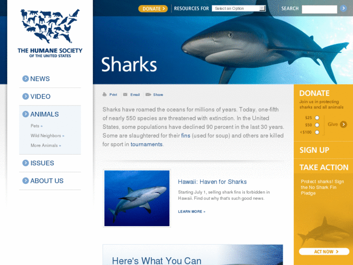 www.protectsharks.com