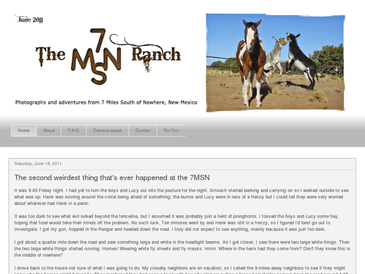 www.the7msnranch.com