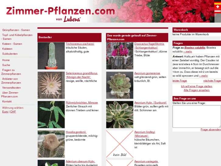 www.zimmer-pflanzen.com