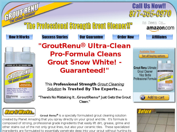 www.cleaningbathroomgrout.com