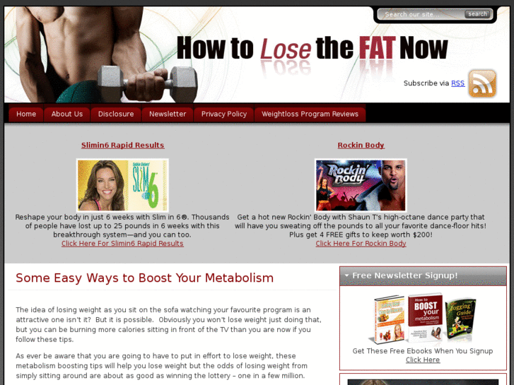 www.howtolosethefatnow.com