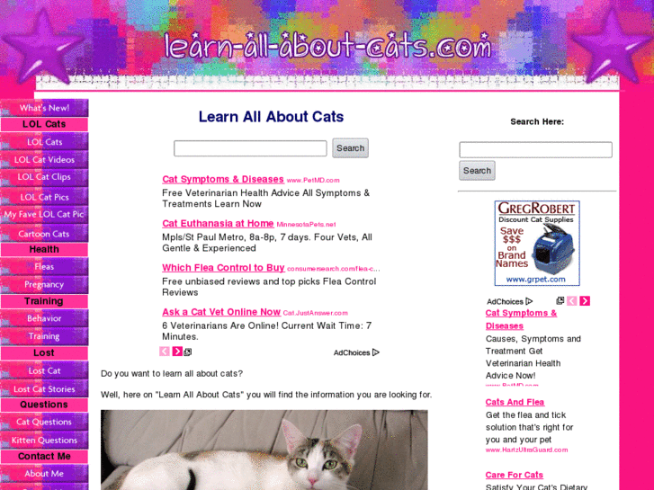 www.learn-all-about-cats.com