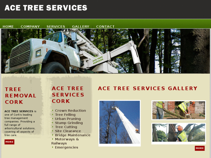 www.acetreecare.com