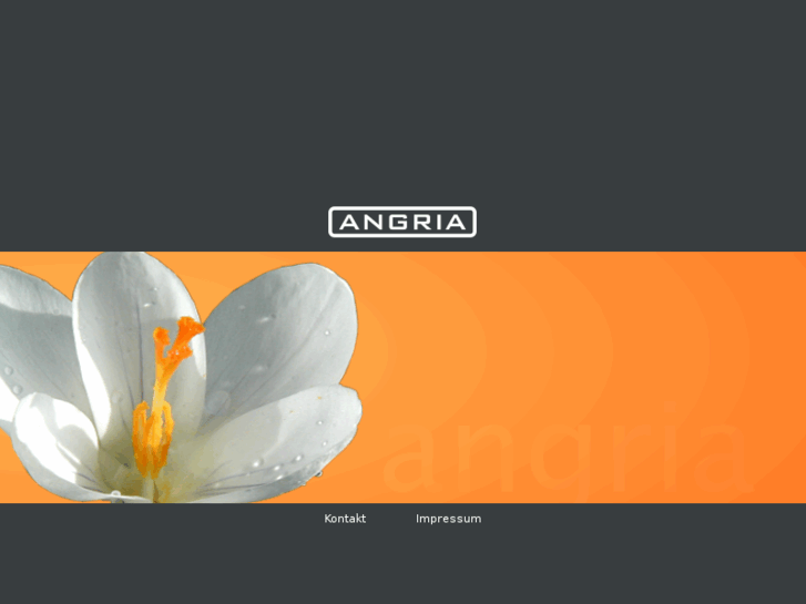 www.angria.net