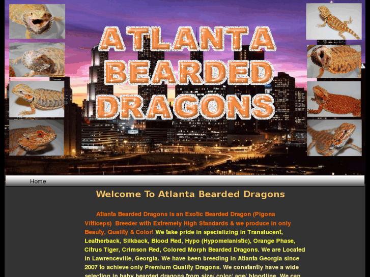 www.atlantabeardeddragons.com