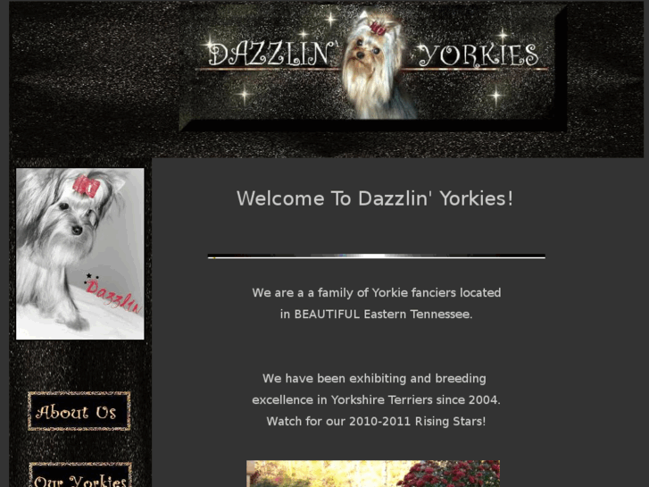 www.dazzlinyorkies.com