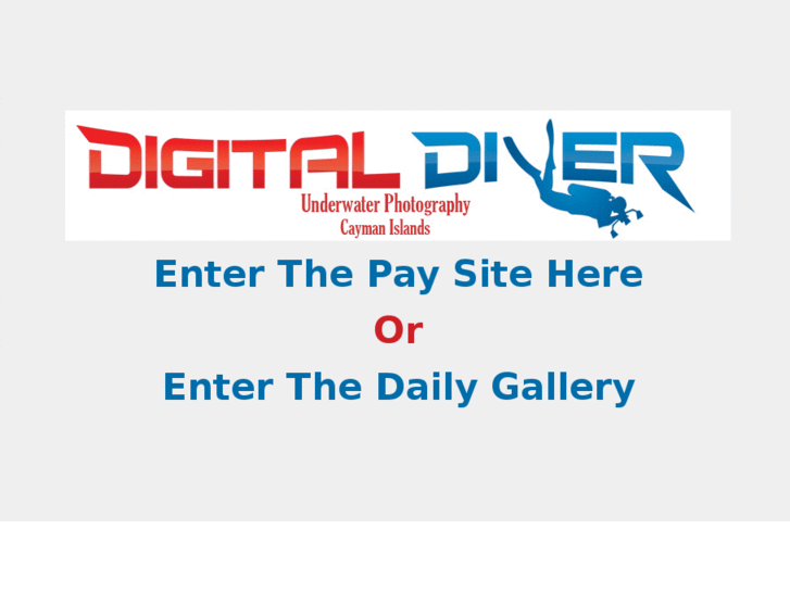 www.digitaldiver.biz