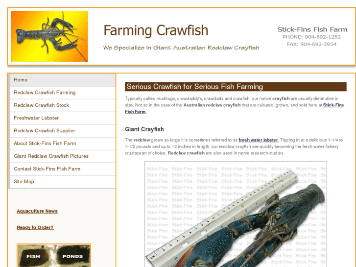 www.farmingcrawfish.com
