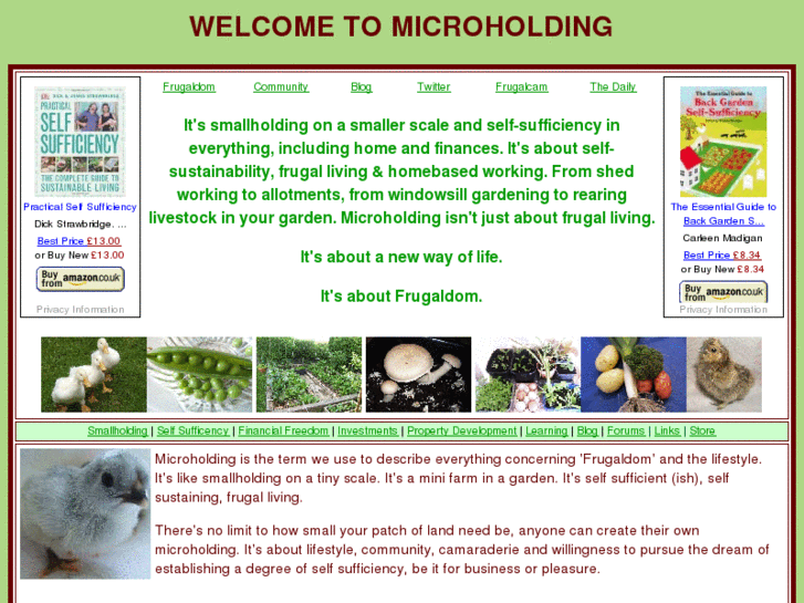 www.microholding.co.uk