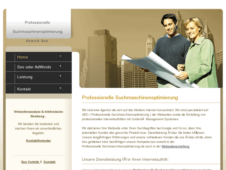 www.professionelle-suchmaschinenoptimierung.net