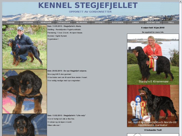 www.stegjefjellet.com