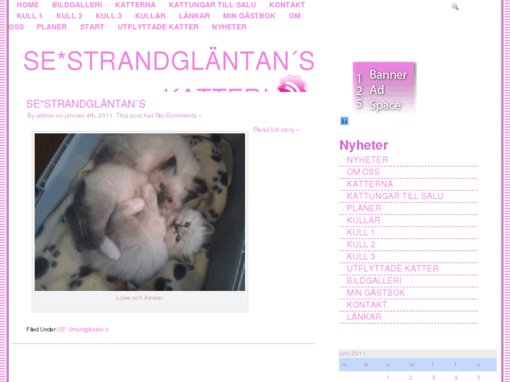 www.strandglantans.com