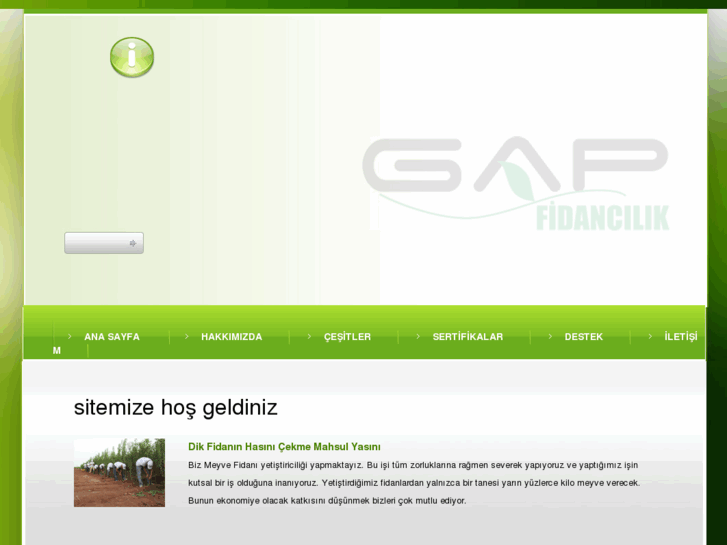 www.gapfidan.com