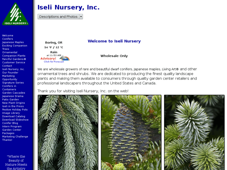 www.iseli-nursery.com