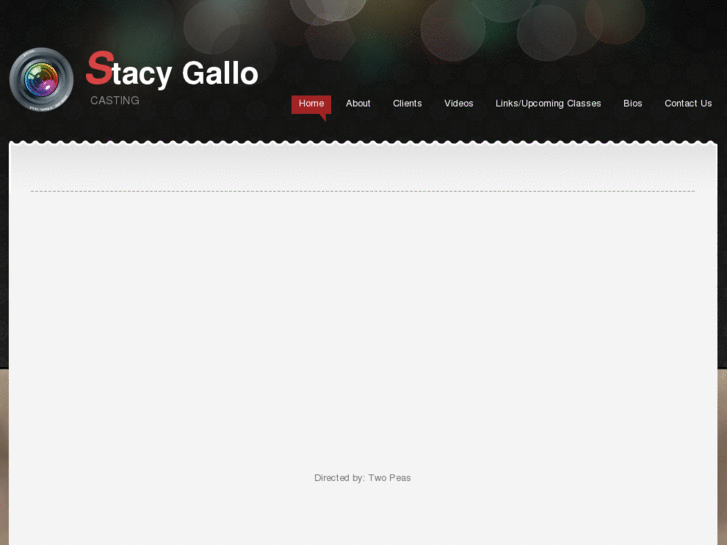 www.stacygallocasting.com