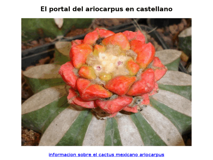 www.ariocarpus.es