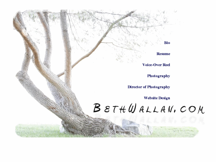 www.bethwallan.com