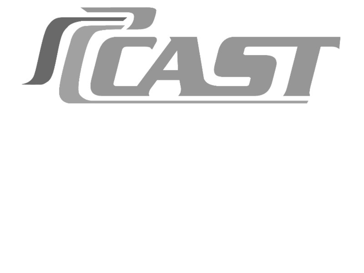 www.cast-limousine.com