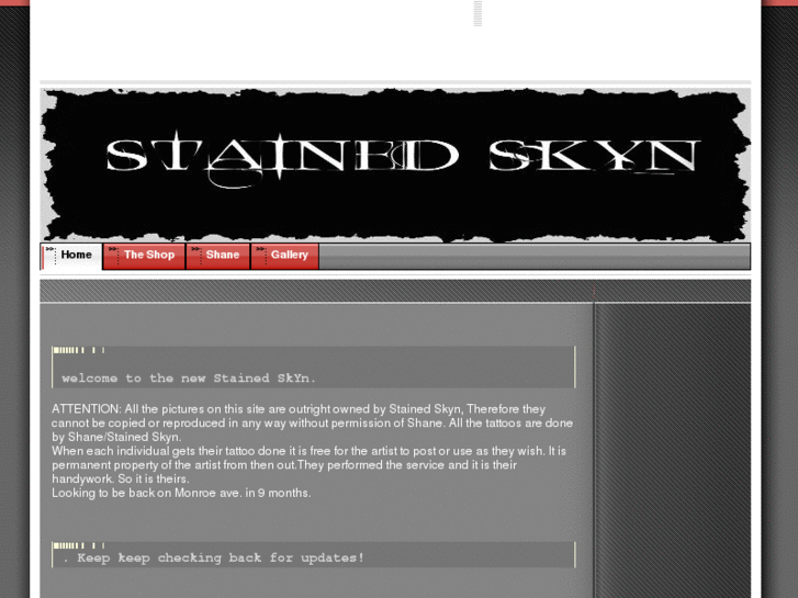 www.stainedskyn.com