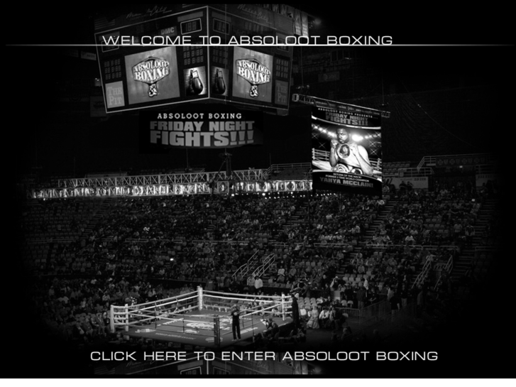 www.absolootboxingandfitness.com