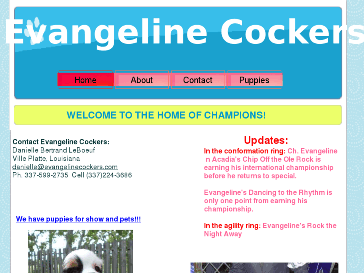www.evangelinecockers.com