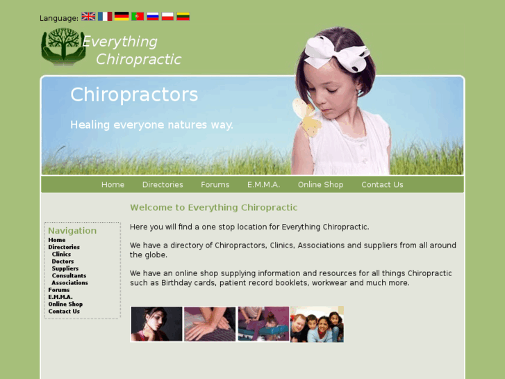 www.everything-chiropractic.com
