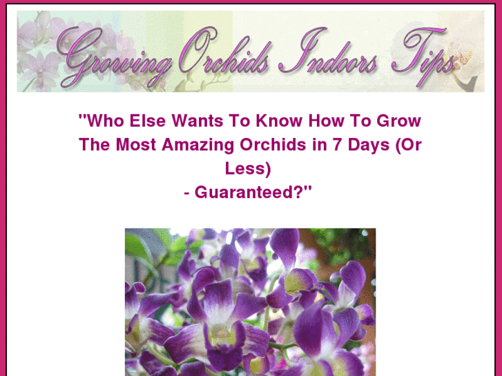 www.growingorchidsindoorstips.com