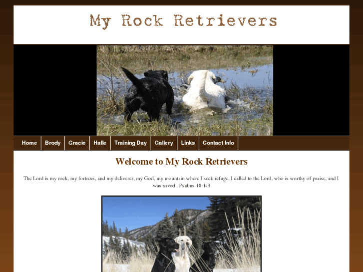 www.myrockretrievers.com