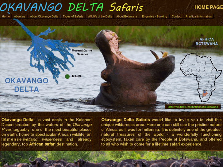 www.okavangodeltasafaris.com