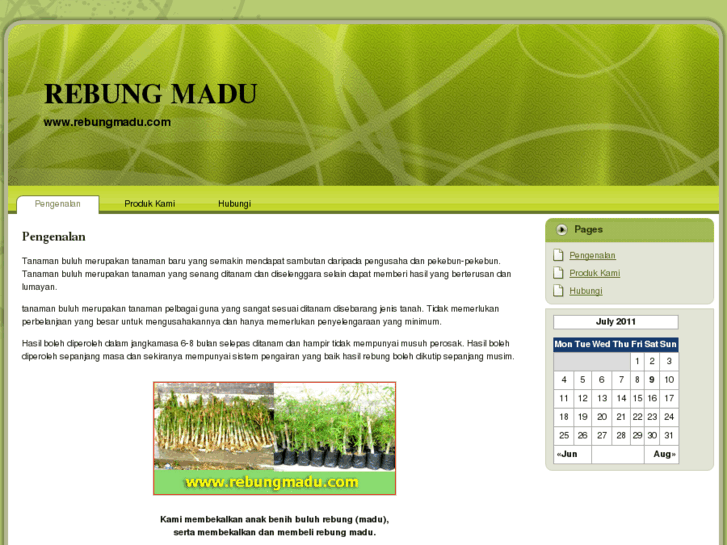 www.rebungmadu.com