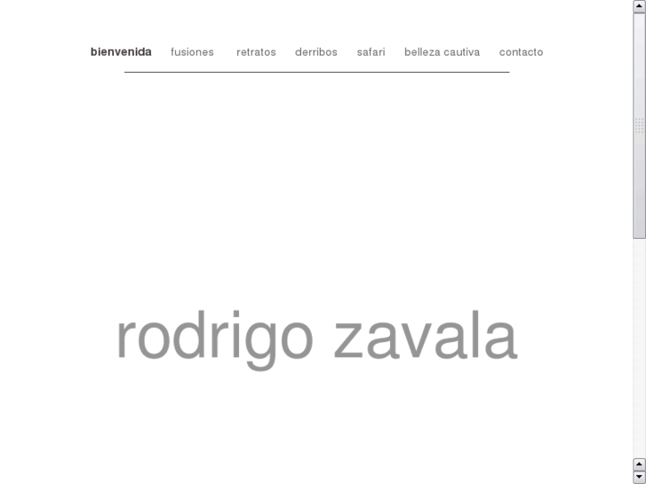 www.rodrigozavala.es