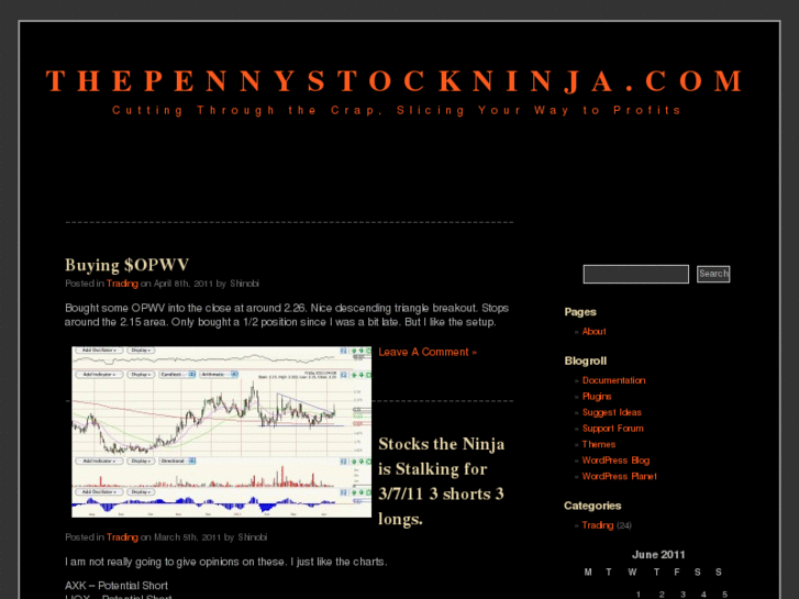 www.thepennystockninja.com