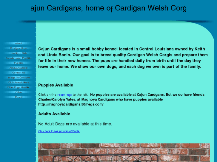 www.cardigancorgipups.com