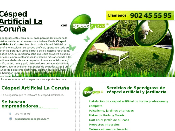 www.cespedartificial-lacoruna.com