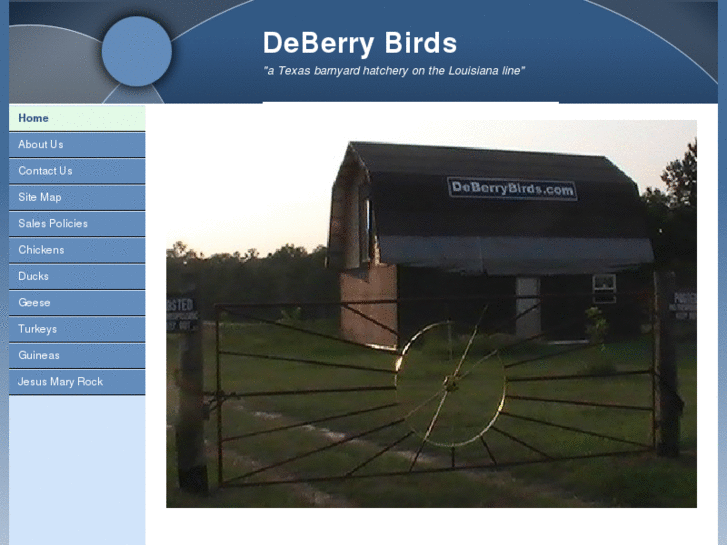 www.deberrybirds.com