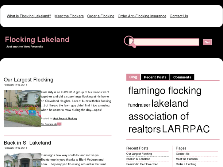 www.flockinglakeland.com