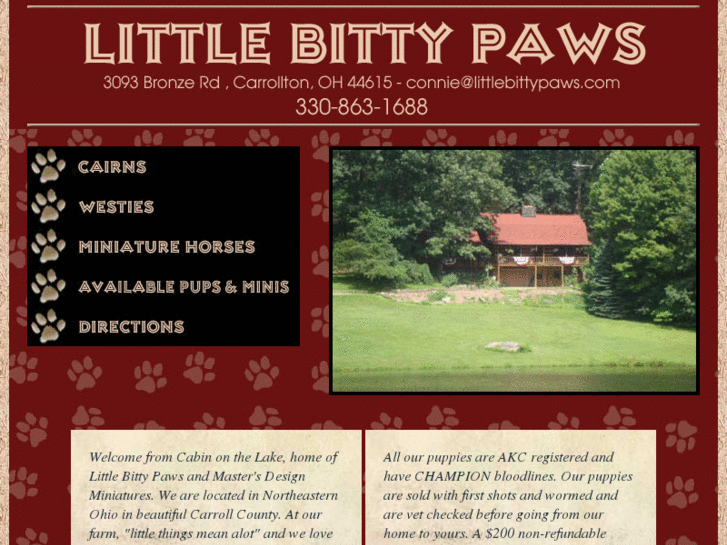www.littlebittypaws.com
