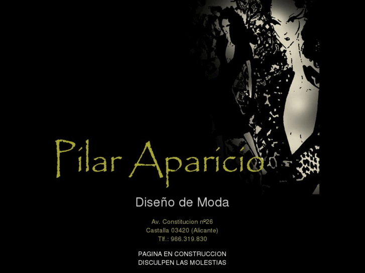 www.pilaraparicio.es