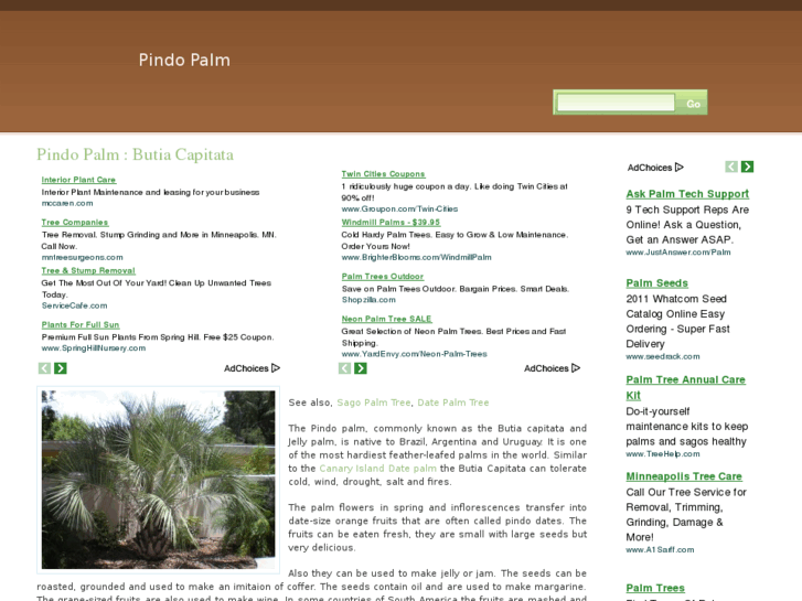 www.pindopalm.net