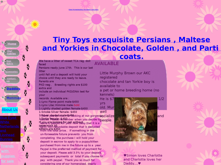 www.tinytoys2luv.com