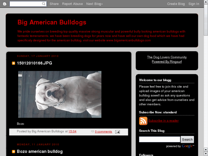 www.american-bulldogs.info