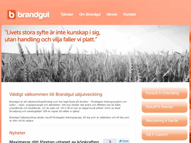 www.brandgul.org