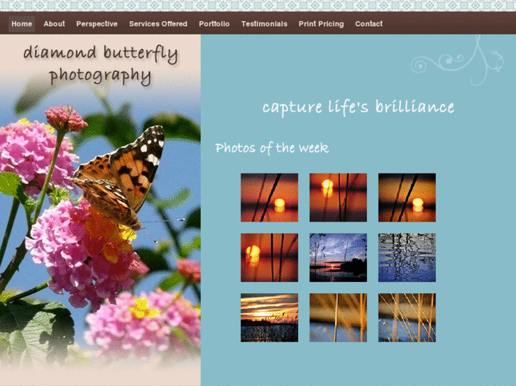 www.diamondbutterflyphoto.com