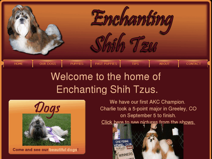 www.enchantingshihtzu.com