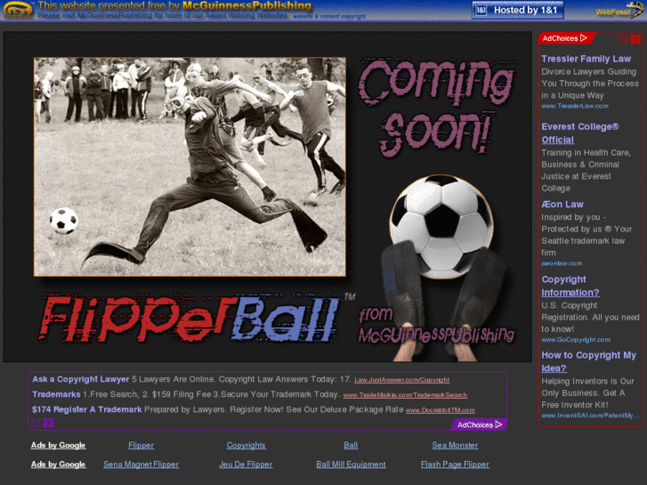 www.flipperball.com