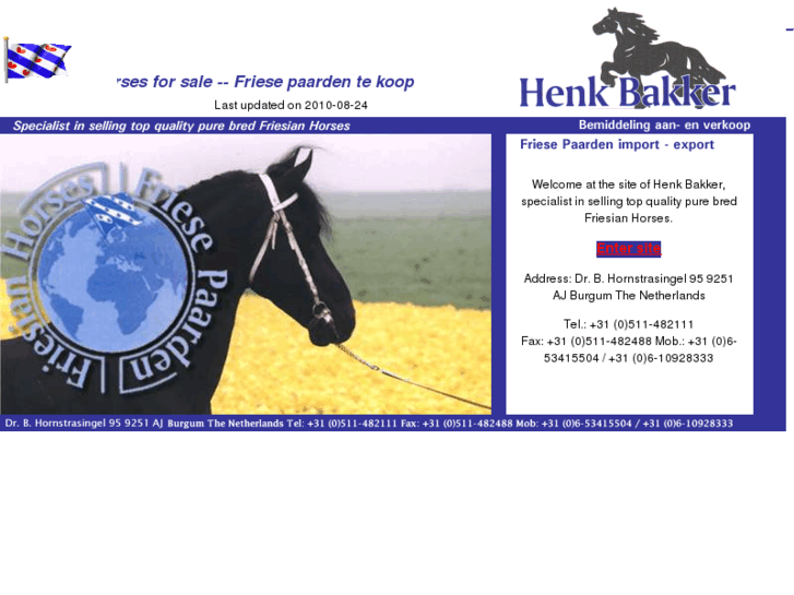 www.friesianhorsesforsale.com