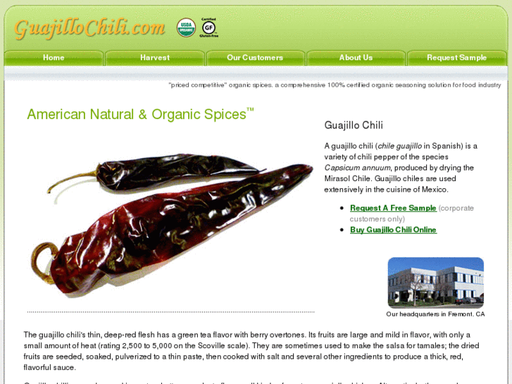 www.guajillochili.com