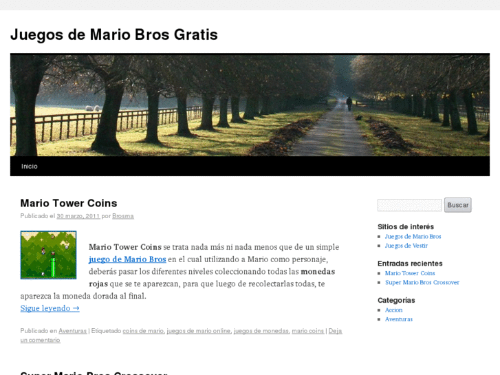 www.juegosdemariobrosgratis.org