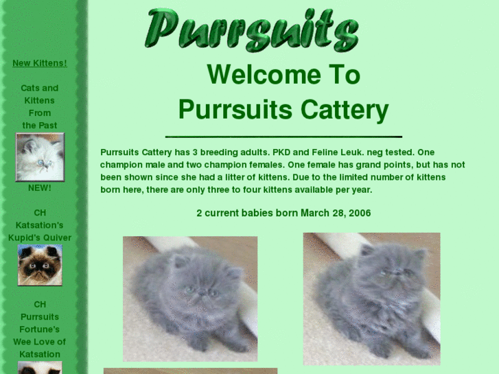 www.purrsuits.com